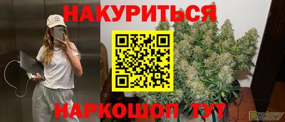 сатива Ахтубинск
