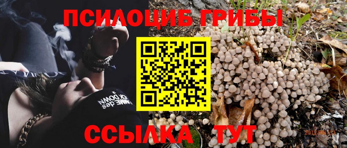 Галлюциногенные грибы GOLDEN TEACHER  Вход с VPN  Коммунар 
