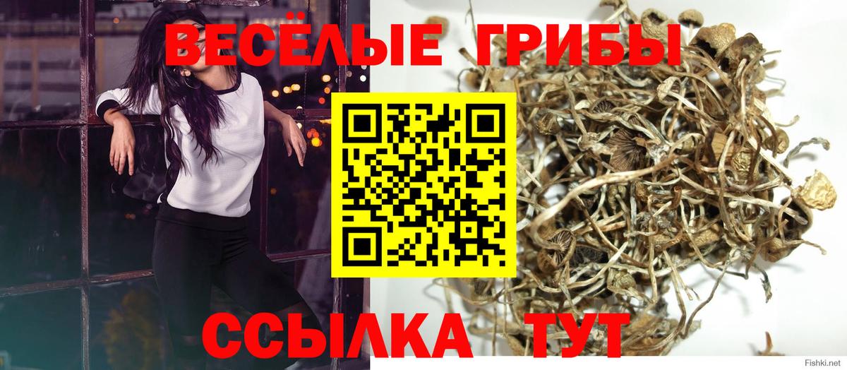 Псилоцибиновые грибы мухоморы Коммунар